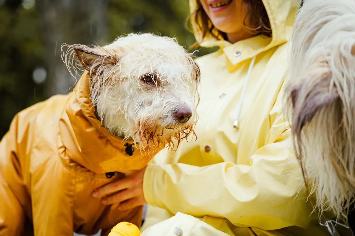 Waterproof Jackets Compared: Breathability, Weight and Price for UK Hiking